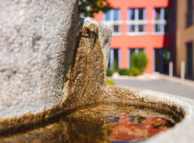 Brunnen vor dem Haupteingang