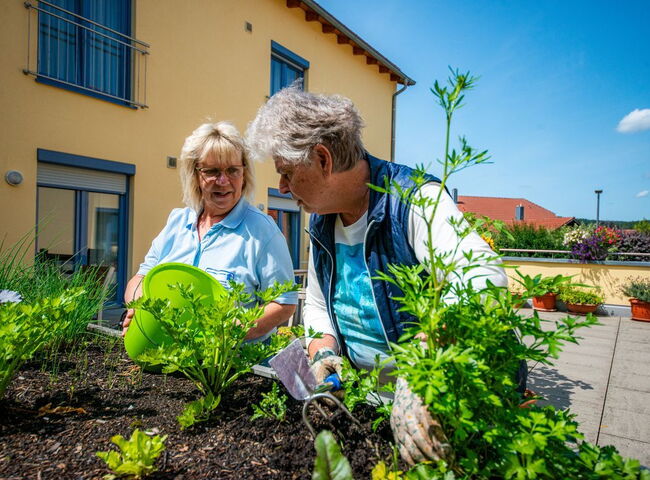 Gemeinsames bepflanzen eines Hochbeetes